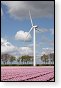 groene energie windmolen windmolens windmolenpark krammer windturbine windturbines windpark leverancier vergelijken zonnepaneel zonnepanelen warmtepomp